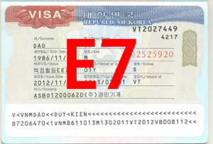 Visa E7 là gì? Bạn đã hiểu đúng về nó chưa?