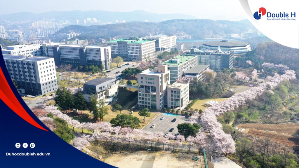 Giới thiệu tổng quan trường Đại học Myongji Hàn Quốc