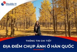 Top 10 địa điểm chụp ảnh ở Hàn Quốc siêu đẹp khi vào Thu