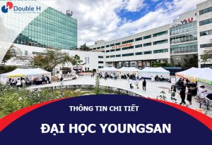 Đại Học Youngsan Hàn Quốc Đào Tạo Ngoại Ngữ Nổi Tiếng