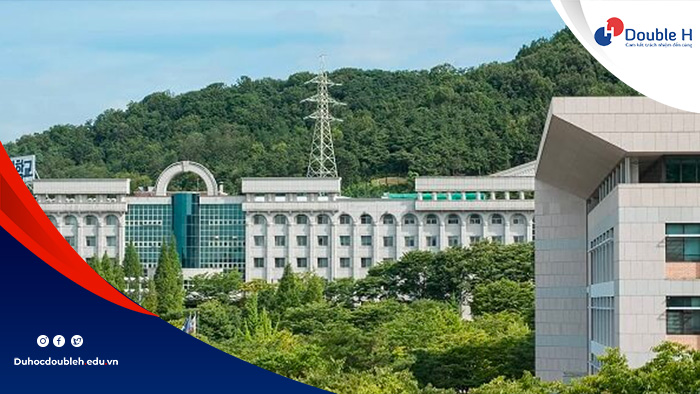 Chương trình đào tạo tại Đại học Shin Ansan Hàn Quốc
