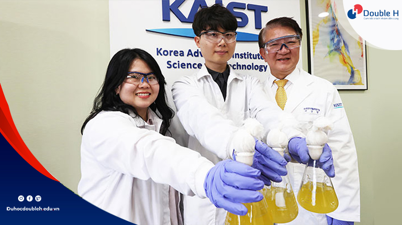 KAIST-2