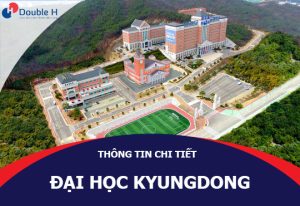 Đại Học Kyungdong Là Trường Xuất Sắc Về Lĩnh Vực Công Nghệ Thông Tin