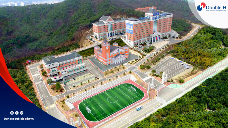 dai-hoc-kyungdong-3