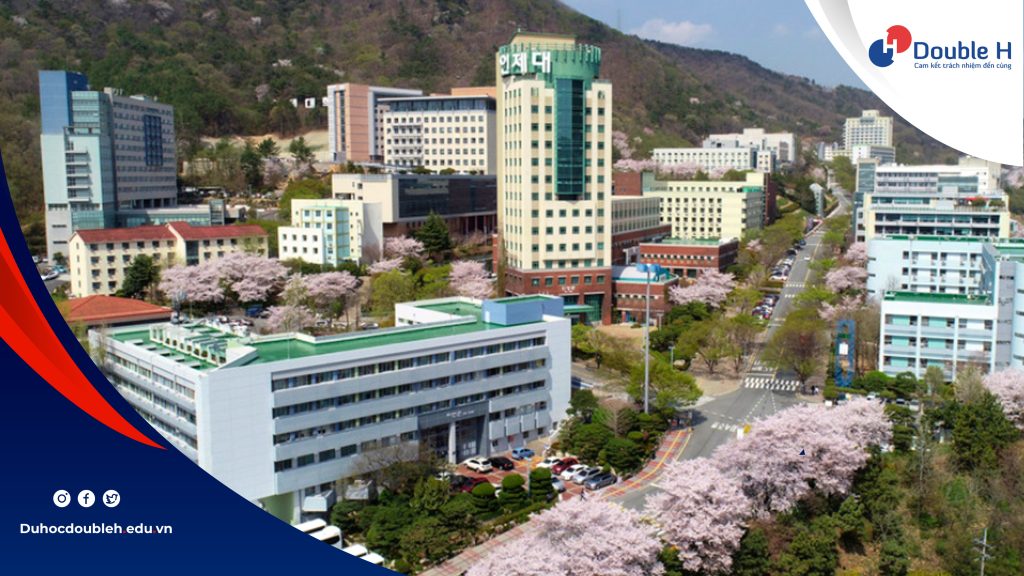 Du học Hàn Quốc nên đi vùng nào có trường đại học tốt