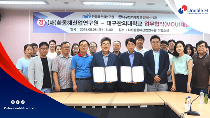 Chương trình học bổng tại trường Daegu Haany ở Hàn Quốc