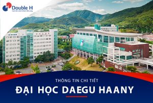 Đại Học Daegu Haany – Trường Đông Y Có Học Phí Rẻ Nhất Daegu