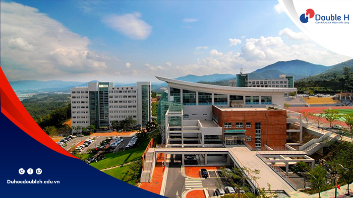 Thành tích nổi bật Trường Đại học Daegu Haany