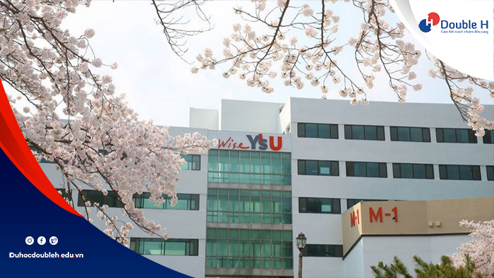 Đại học Youngsan