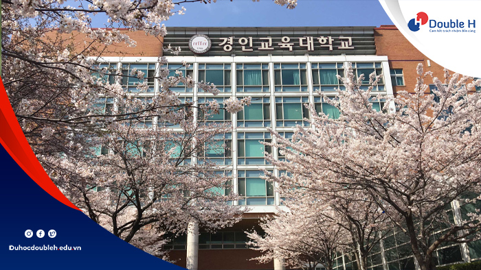 Đại học giáo dục Quốc gia Gyeongin 