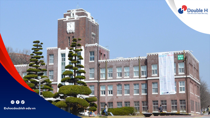 Đại học Cao đẳng chất lượng ở Gwangju