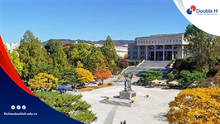 Trường đại học hàn quốc học phí rẻ kangwon