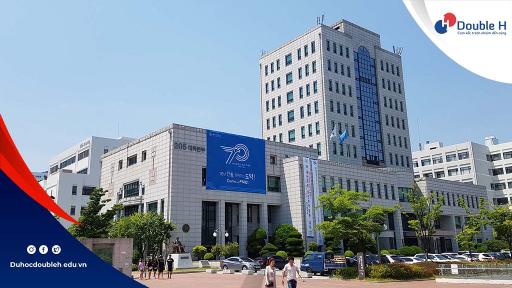 Du học ngành kinh tế trường đại học Pusan Hàn Quốc