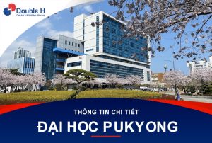 Đại học Quốc gia Pukyong – Đại học công lập Hàn Quốc học phí thấp