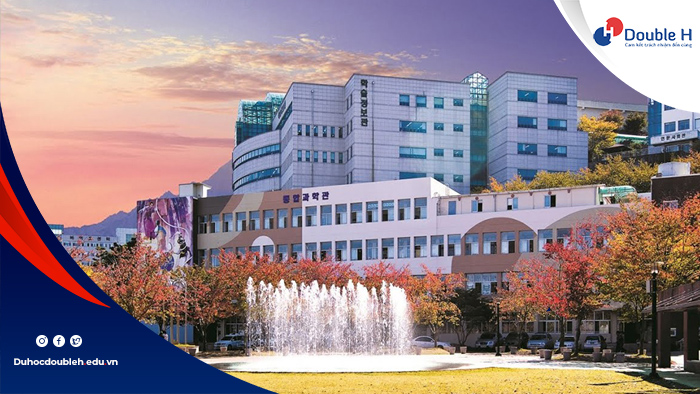 Điều kiện xét tuyển vào trường Đại học Kỹ thuật Daegu